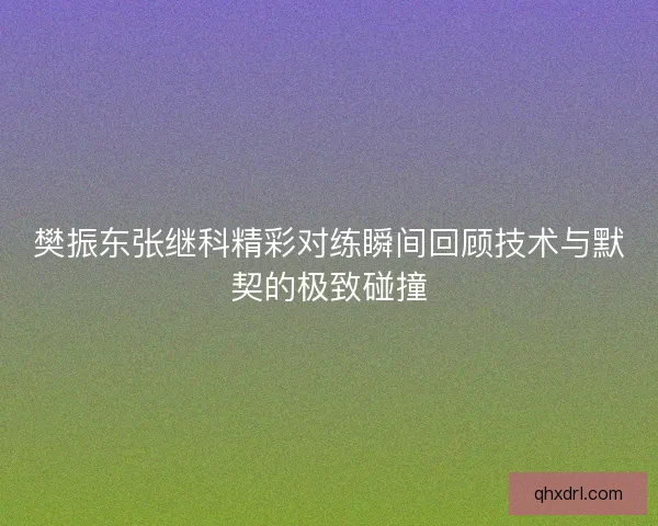 樊振东张继科精彩对练瞬间回顾技术与默契的极致碰撞
