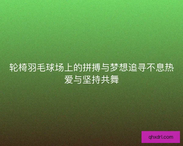 轮椅羽毛球场上的拼搏与梦想追寻不息热爱与坚持共舞