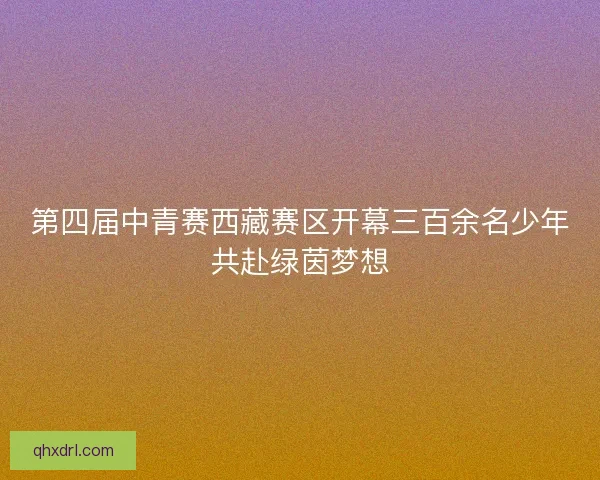 第四届中青赛西藏赛区开幕三百余名少年共赴绿茵梦想